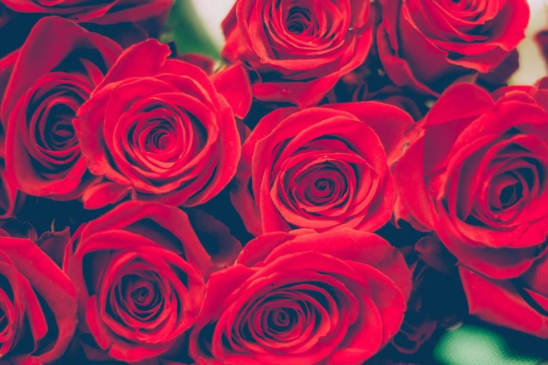 Menu Saint-Valentin